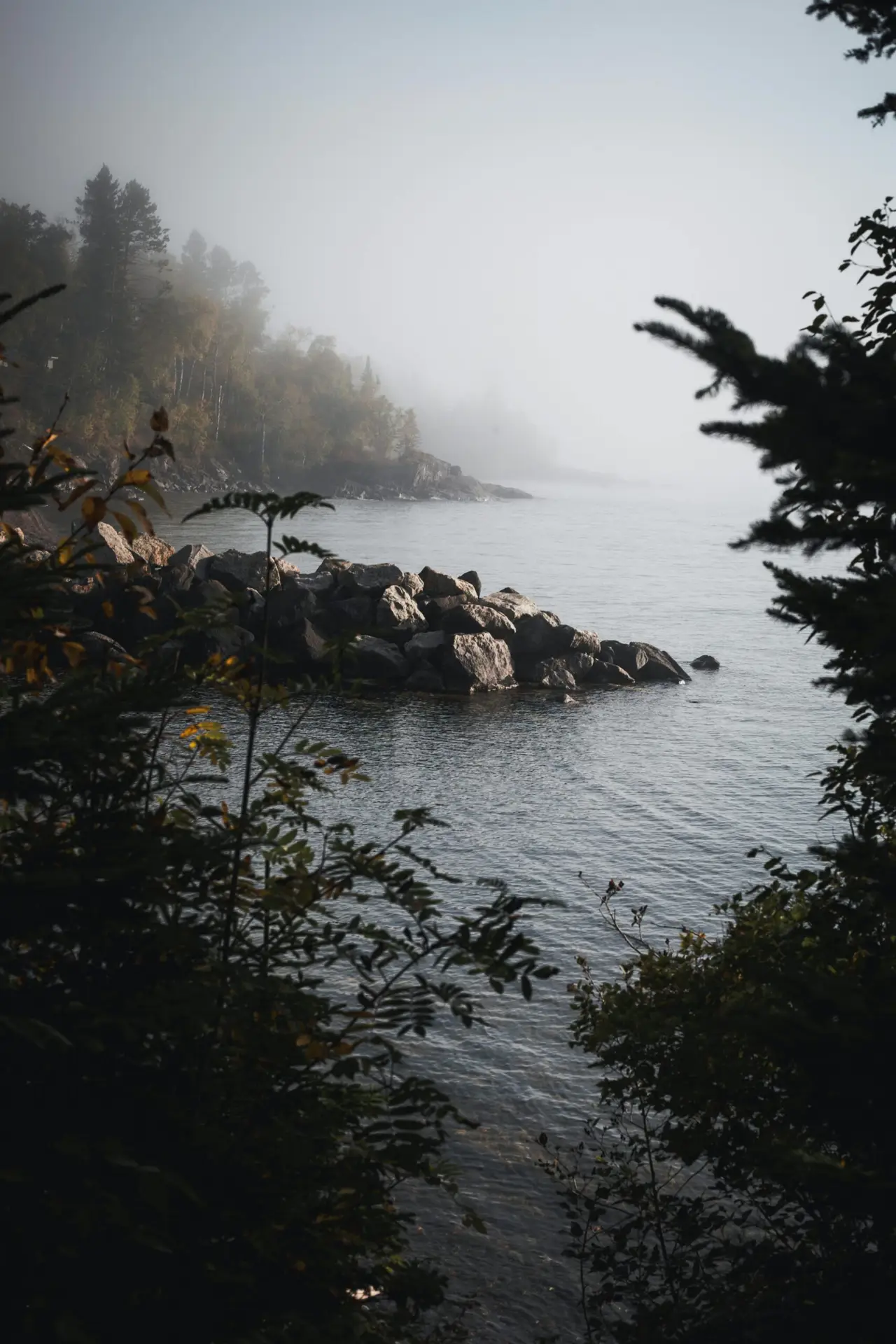 Lake Superior view through the trees on Minnesota’s North Shore